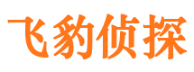 丰宁市调查公司